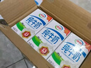伊利纯牛奶250ml*21盒 早餐奶 礼盒装 1-5月产 实拍图