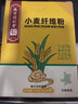 南京同仁堂小麦纤维素颗粒膳食纤维粉非水溶性高含量中老年人成人 实拍图