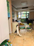 兽牌树洞剑麻桶猫窝猫抓板一体剑麻猫爬架双层大猫屋半封闭式冬季保暖 燕麦奶白丨47cm加大号 实拍图