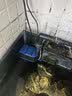 格池（GRECH）格池鱼缸潜水泵CQJ-1200G款20W  净水增氧过滤三合一过滤水泵 实拍图