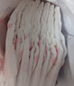 好奇（Huggies） 铂金装纸尿裤元气桃桃尿不湿金装婴儿男女通用尿裤超薄耐用 铂金装XL32片【12-17kg】 实拍图
