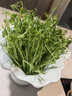 沃特堡（wartburg）荷兰进口 奶酪片 天然原制 芝士片 200g 冷藏 早餐 三明治 零食 实拍图