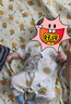 舒贝怡2件装婴儿衣服夏季薄款新生儿连体衣短袖哈衣儿童爬服蓝色90CM 实拍图