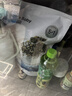 英氏海苔芝麻猪肉酥80g拌饭婴儿宝宝辅食儿童调味独立小袋包装 实拍图