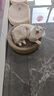 【京东快递】猫抓板猫窝一体式耐磨不掉屑超大可睡觉瓦楞纸磨爪板 圆形50*9【20斤内，送猫薄荷】 实拍图