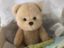 莉娜熊（TeddyTales）小熊玩偶毛绒玩具熊泰迪手作熊安抚娃娃送礼送人毕业礼物送女生 奶茶色（经典款） 中号站姿约30cm 实拍图