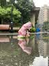 倍可安卡通鲨鱼拼色款儿童雨鞋男童雨靴女宝水鞋防水幼儿小学生上学专用 公主粉【雨鞋】 14 cm内长【脚长13.5/约1-2岁穿】 实拍图