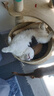 麦富迪猫粮 超肉粒冻干双拼成猫粮美毛护肠三文鱼10kg/20斤【宠物金选】 实拍图