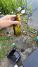 朝宇铝镁合金钓箱双炮台支架万向加厚钓椅双炮台架座双杆双头渔具配件 精品款【防掉螺丝】黑红色 实拍图