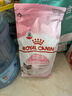 皇家幼猫奶糕 幼猫猫粮 BK34 通用粮 1-4月 2KG 实拍图