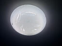 飞利浦（PHILIPS）T5环形灯管三基色圆管顶灯顶灯灯芯荧光灯 【直径245*16mm】T5环形管32W白光 实拍图