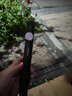 劲捷 KINGJOY洗车高压水枪家用水管软管强力洗地浇水灌溉花园林艺庭院子清洗 家用首选-增压水枪【10米管六件套】精准控压+合金枪头 洗地/洗车/浇花丨多种模式切换 实拍图