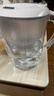 碧然德（BRITA）过滤净水器 家用滤水壶 净水壶 Marella 海洋系列白+专家版滤芯12枚（含附件） 实拍图