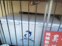 澳柯玛（AUCMA）500升单温冷柜家用卧式大冰柜 雪糕柜 冷藏柜冷冻柜 顶开门冰箱一级能效BC/BD-500HNE 【价保618】 实拍图