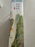 汪曾祺精品集：人间有趣+人间邂逅+人间有味+人间草木（全4卷 平装插盒版 附赠明信片）【名家精选散文集随笔】【中国文学经典】原著中国近代随笔 实拍图