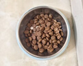 Orijen渴望狗粮 成犬幼犬无谷天然鸡肉进口全价通用犬粮11.4kg效期26/12 实拍图