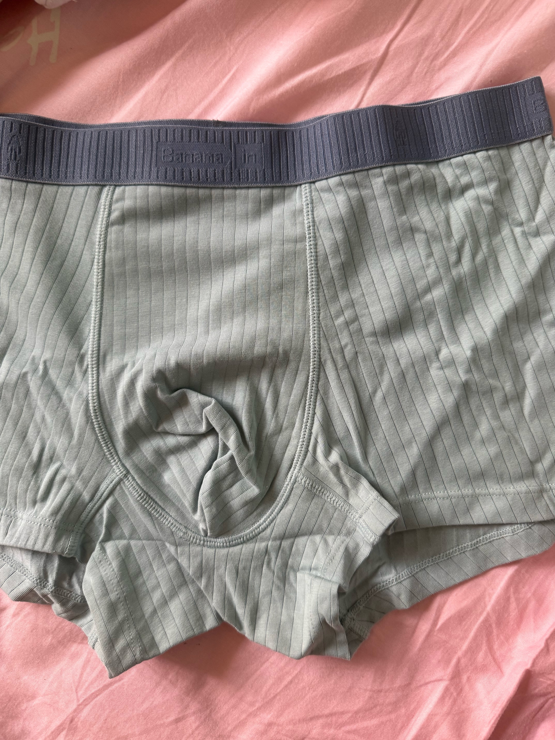 蕉内（Bananain）银皮311S男士内裤纯棉男生10A抗菌精梳棉透气条纹平角夏季礼盒3件 阿罗娜+格林绿+舰灰 3条 XL 实拍图
