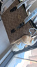 蔻驰（COACH）【品牌直供】女士MOLLIE中号手提托特包CV965礼物 实拍图