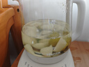 小熊（Bear）【价保618】养生壶 煮茶壶 恒温水壶 保温烧水一体电热水壶花茶壶 316L不锈钢 1.5L YSH-J15H8 实拍图