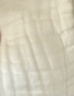 安可新婴儿可洗纱布尿布裤隔尿如厕训练裤新生儿戒尿不湿 3条装 L码 实拍图