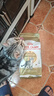 皇家猫粮 美短成猫粮 ASA31 通用粮 12月以上 2KG 实拍图