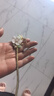 追师初妤合金发簪中式古风高级日常2026盘发气质汉服七夕节礼物送女友 晒单实拍图