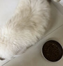 卫仕 膳食全价全阶段猫粮 猫干粮 成猫幼猫营养均衡天然猫粮 1.8kg*3 实拍图