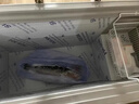 雪花超低温冰柜商用冷冻柜零下65℃零下85℃ 卧式大容量海鲜速冻冰柜速冻生物实验室冰箱医用 318升304内胆【-86℃+框口除霜】进口压缩机 实拍图