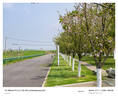 适马（SIGMA）16-300mm f3.5-6.7 DC OS ｜Contemporary 半画幅 远摄变焦镜头 旅游风光人像（索尼E卡口） 实拍图