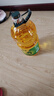 西王 食用油 玉米胚芽油 5L 非转基因物理压榨（新老包装交替发货） 实拍图