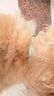 欢宠网猫咪驱虫项圈狗狗猫宠物狗猫圈除跳蚤猫猫幼猫小猫小狗体外去跳蚤 实拍图