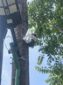 霸天安4G 太阳能室外监控AI摄像头 终身免流量无电无网免插电手机远程 监控器360度无死角带夜视全景高清 实拍图