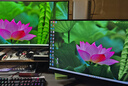 飞利浦EVNIA弈威电竞显示器 24.5英寸2K原生300Hz FastIPS HDR400出厂校准 HDMI2.1硬件低延迟25M2N5500U 实拍图