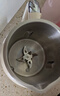 九阳（Joyoung）【重磅新品】1.2L钛豆浆机316钛钢0涂层变频轻音家用2-4人全自动免煮免滤PL1180【价保618】 实拍图