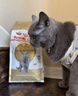 皇家猫粮 英短成猫粮 BS34 通用粮 12月以上 10KG 实拍图