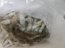 东上御品虾 青岛大虾基围虾鲜活青虾白虾海虾对虾冰虾冻虾生鲜 虾类 海鲜 3斤(净重)  气冻大虾【活虾速冻】 15-18cm【单只超大虾】 实拍图