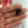 媚音隐形蓝牙耳机无线迷你小型耳机睡觉不压耳久戴不痛微型耳机小巧超小使用不闪灯上班摸鱼神器 黑色 实拍图