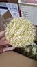 【限时特惠】方便面面饼非油炸散装泡面火锅大碗面的炒面专用面条 55g*10包(不含调料包) 实拍图
