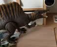 Jurassic World生日礼物电影同款男孩恐龙玩具侏罗纪世界大电影之棘龙JGB56 实拍图