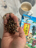 十月稻田 三色糙米 2斤 五谷杂粮米 粗粮饭主食 新米 糙米粥 黑米 红米 实拍图