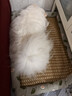 licheers猫狗窝凉席小型犬宠物猫咪睡垫夏季床垫泰迪中大型犬狗垫子 XL号 实拍图