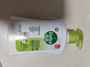 滴露（Dettol）洗手液抑菌消毒茉莉绿茶250g 儿童洗手液家庭 迪士尼 实拍图
