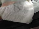 佳婴氧气森林拉拉裤2XL码68片(15KG+)全包臀婴儿尿不湿亲肤成长裤 实拍图
