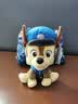 汪汪队立大功（PAW PATROL）汪汪队玩具毛绒全套狗狗玩偶公仔男女孩玩具旺旺队儿童生日礼物 经典款-阿奇公仔【需选尺寸】 中号-坐或站高约17~22.9CM 实拍图