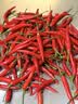 京鲜生 云南小米辣 净重500g 新鲜辣椒 新鲜蔬菜 源头直发包邮 实拍图