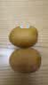 佳沛（zespri）新西兰阳光金奇异果10粒巨大果单果146-175g 猕猴桃水果礼盒 实拍图