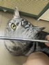HELLOJOY宠物猫咪狗狗排梳猫梳子宠物去浮毛开结钢梳布偶长毛猫专用猫毛梳 实拍图