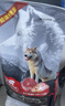 力狼（LILANG）狗粮成犬幼犬中大型犬通用拉布拉多金毛阿拉斯加法斗德牧马犬犬粮 【经典爆款】成犬专用20kg HOT 实拍图