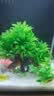 萌嘟星宠 仿真椰子树鱼缸造景水族箱布景装饰摆件假植假水草 实拍图