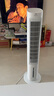 格力（GREE） 冷风扇家用低噪冰晶冷风机办公室客厅制冷空调扇水冷塔扇遥控定时冷气扇单冷水空调移动小空调 负离子加湿净化冷风KS-04S63Dg 实拍图
